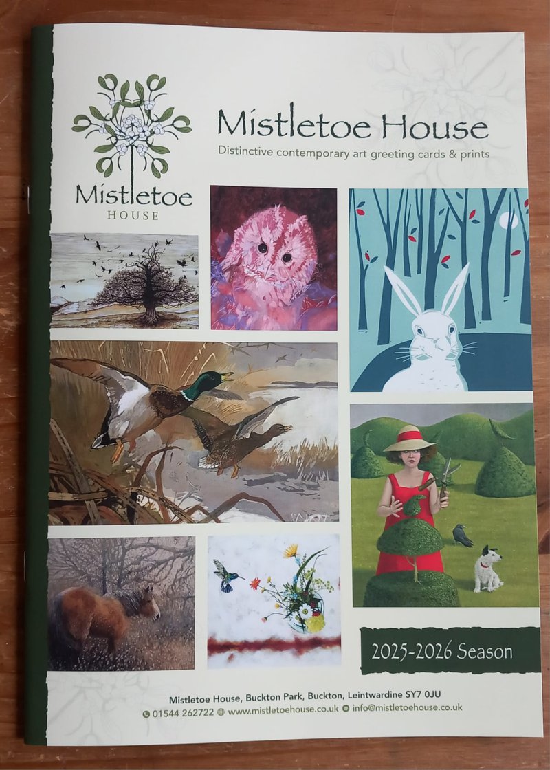 mistletoe house cover 2025