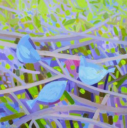 Blue Birds Resting