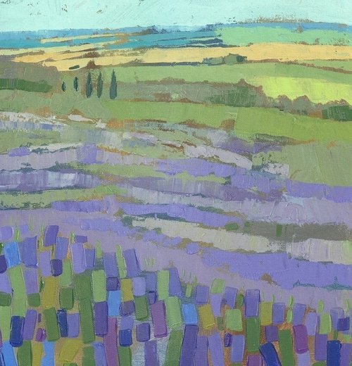 Yorkshire Lavender (Print)