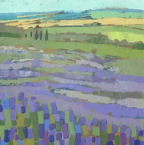 Yorkshire Lavendar